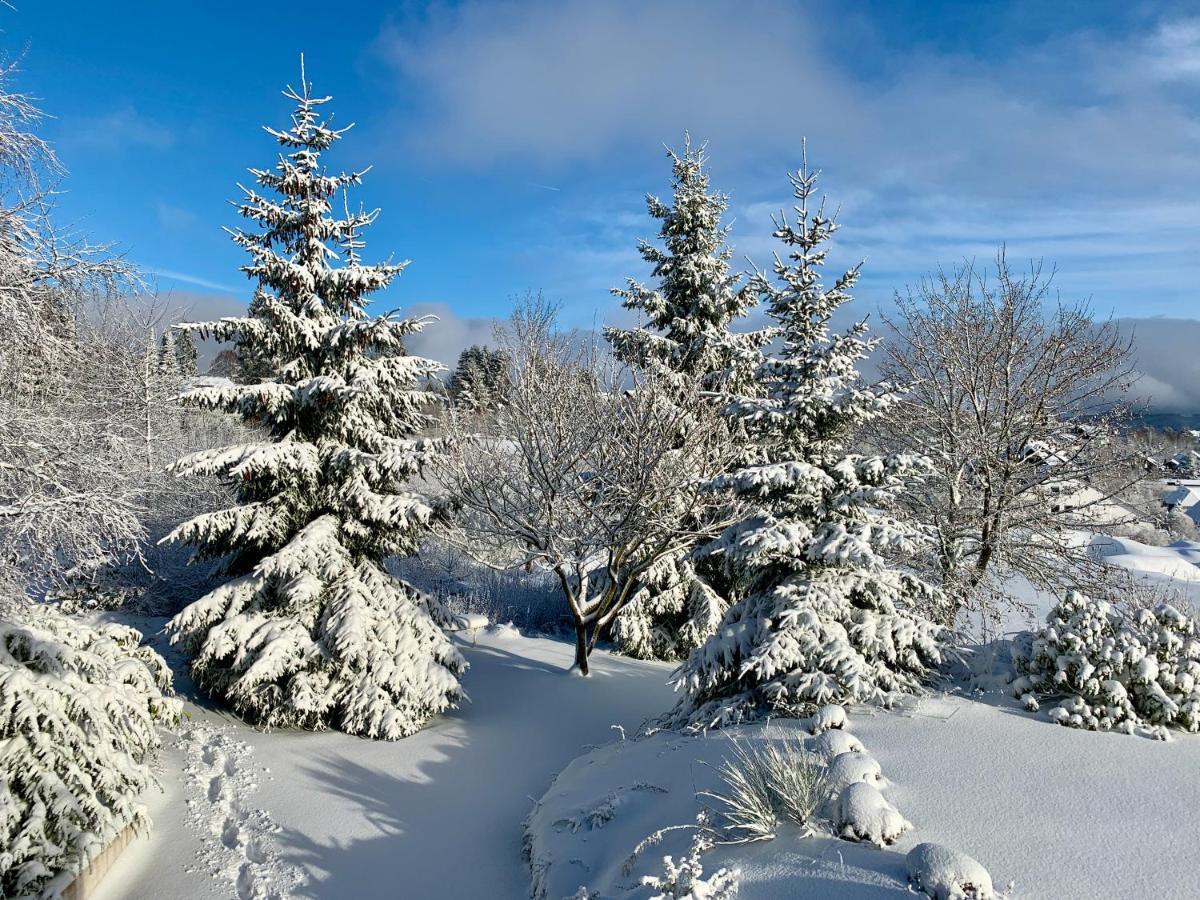 Haus Schneekappe Leilighet Winterberg Eksteriør bilde